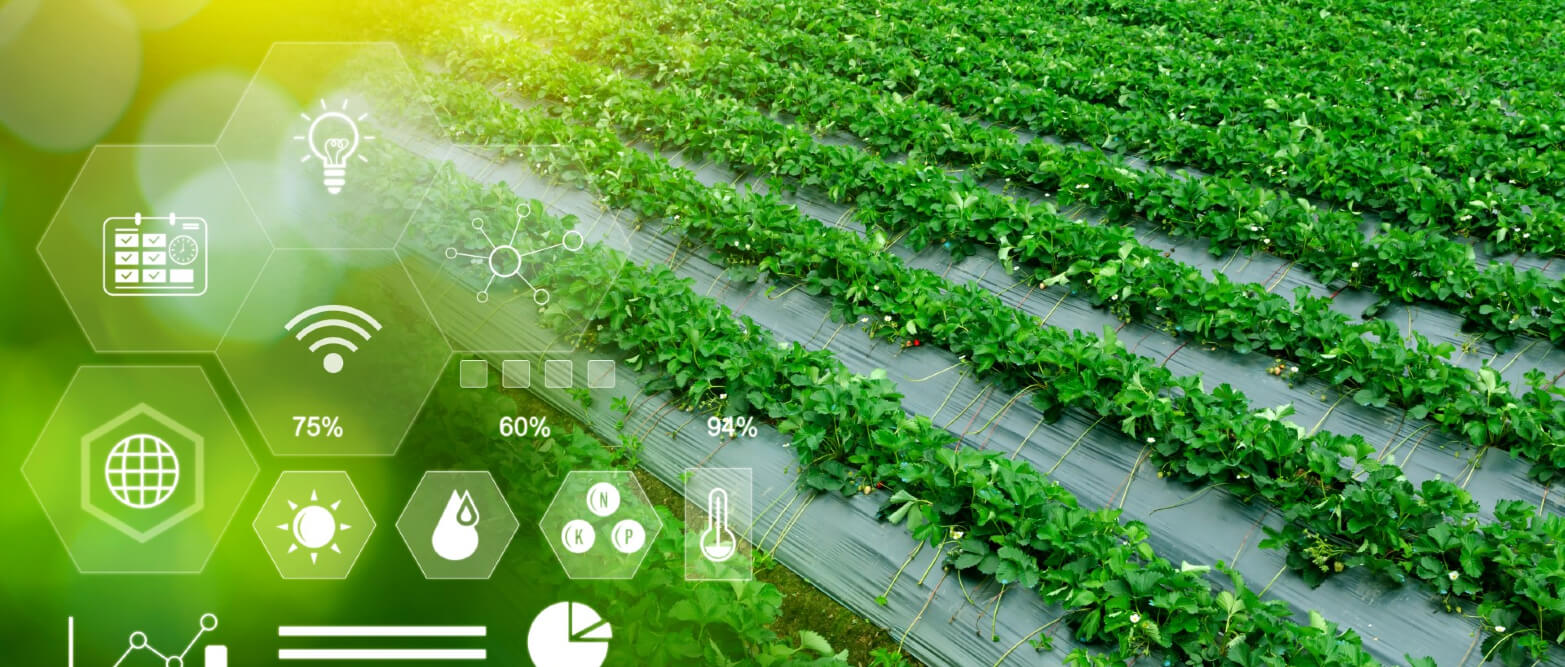 Innovations in Modern Farming